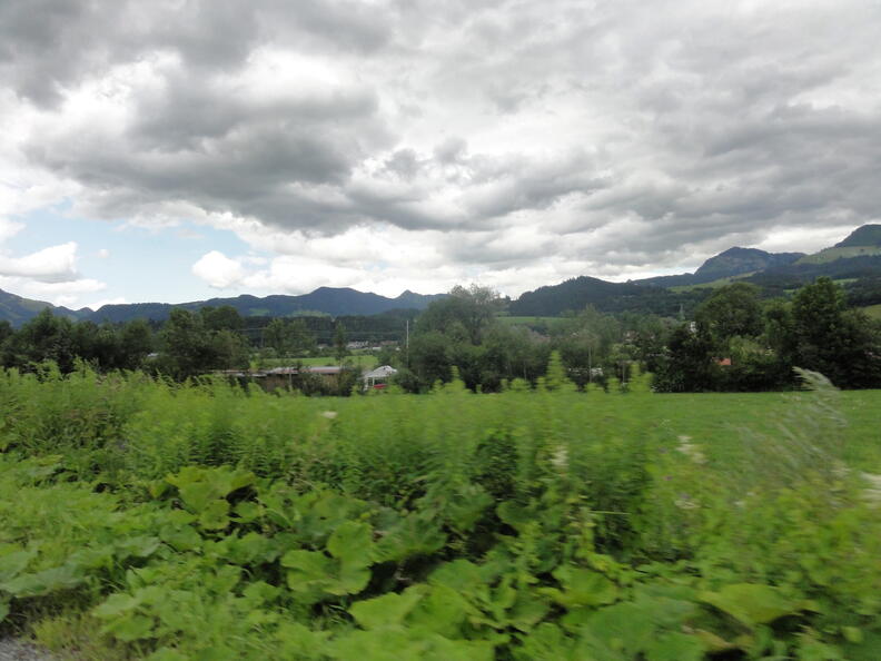 DSC05611